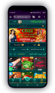 CD22 Game Download Earning Platform in Pakistan 2026 Guide 2