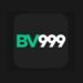 BV999 Game Download APK Latest Version for Pakistan Users