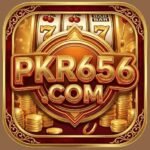 Pkr656vip Game Download APK (Earning App in Pakistan) 2025