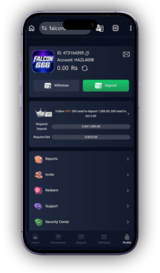 Falcon 666 Game APK Download Latest Version (2026) – Best Earning App in Pakistan 4